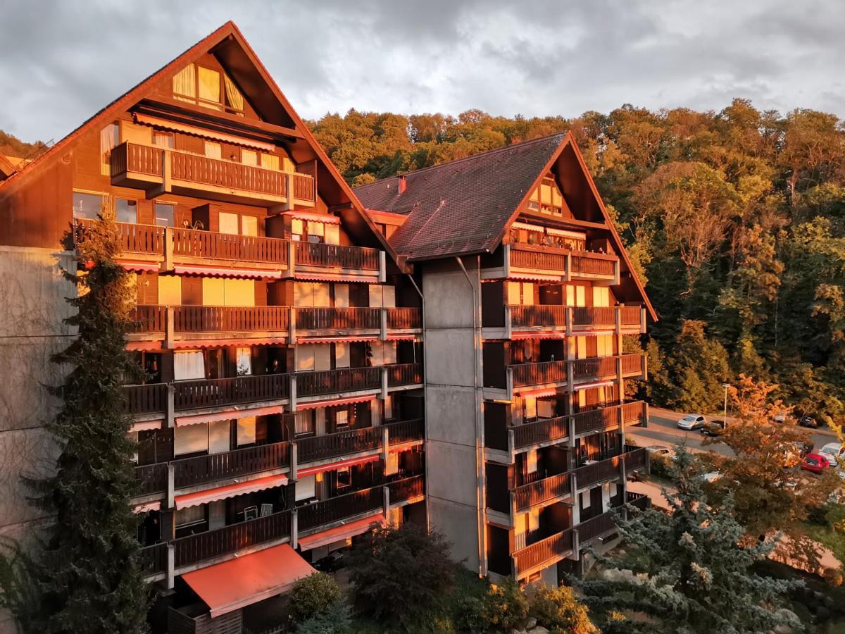 Gaishoell-Wasserfaelle Apartment Schwarzwald Sasbachwalden Esterno foto